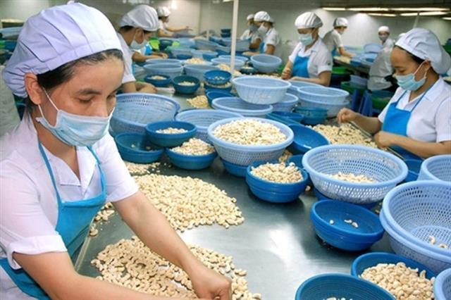 Cashew exports to slow in 2022 amid global inflation, Russia sanctions
