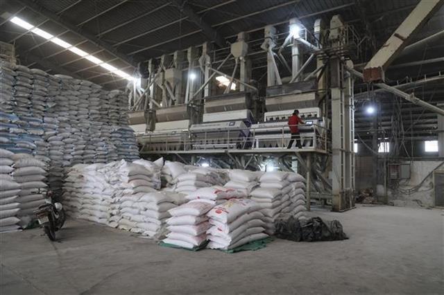 Việt Nams rice exports revenue surges to new record