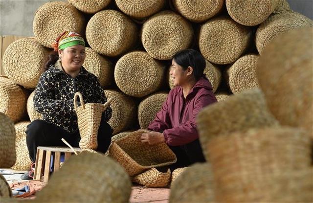 Việt Nams trade surplus at US22.44 billion in 11 months