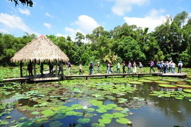 HCM City, Mekong Delta to further elevate tourism links to develop together