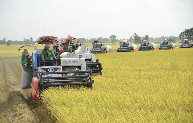 Rice exports expected to hit US5 billion this year