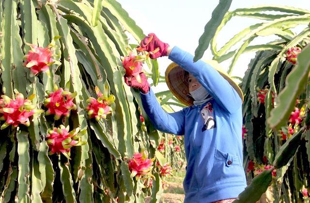 Minister asks India to open market for farm produce