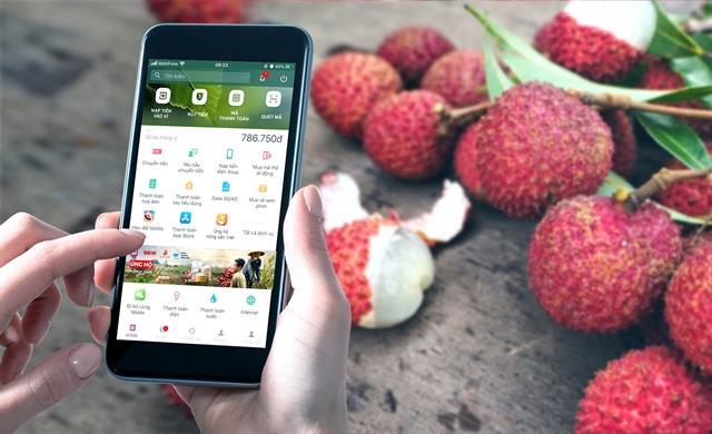 Vietnamese entrepreneurs need to prepare for the funding winter