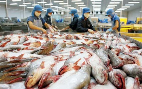 Tra fish exports predicted to recover from third quarter