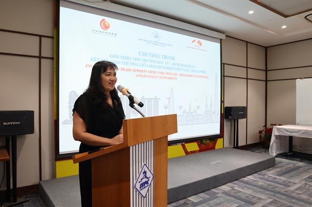 HCM City seeks further investment from Singapore