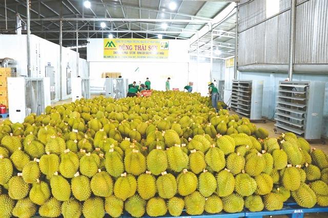 Viet Nams farm produce face more difficulties in export to China