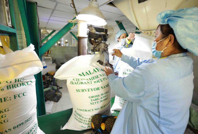 Ample room remains for Vietnamese exports to Africa