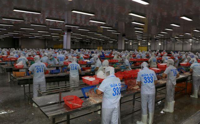 State bank launches VNĐ15 trillion credit package to support forestry and fishery businesses