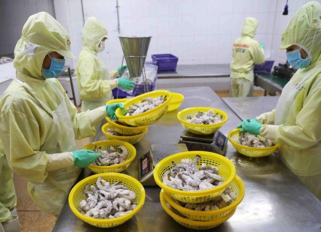 Agricultural, forestry and fishery exports reach nearly 25 billion in H1