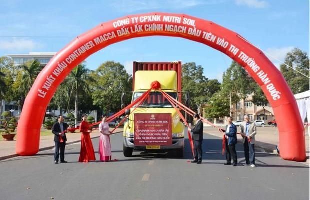 Đắk Lăk exports first macadamia lot to RoK