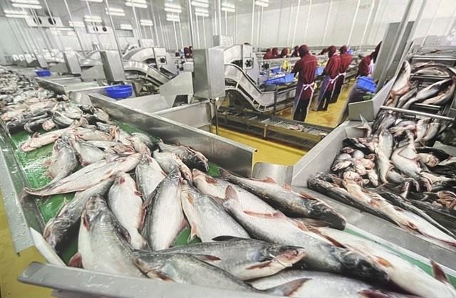 China spends US21mn importing Việt Nams pangasius fish maws