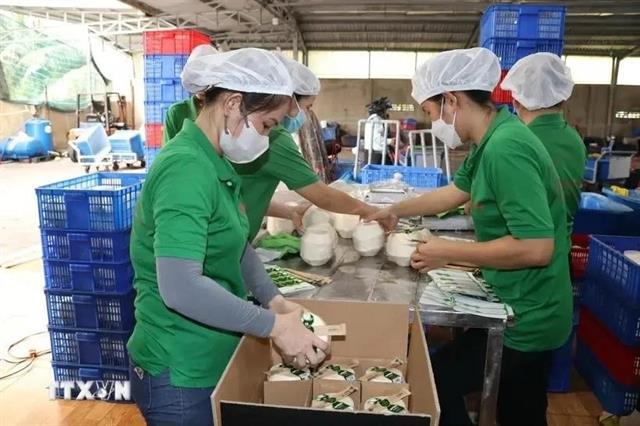 First batches of Việt Nams fresh coconuts enter China
