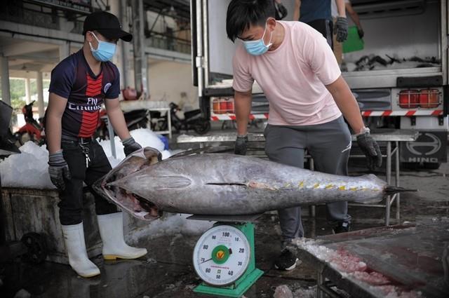 Middle East: the fourth largest importer of Vietnamese tuna