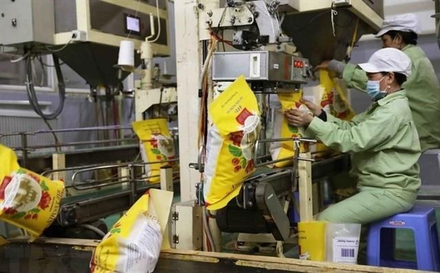 Good signs for rice exports