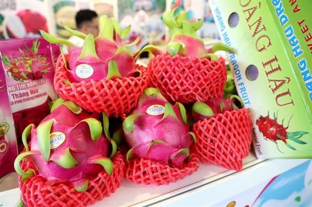 Q1 witnesses breakthroughs in fruit and vegetable exports