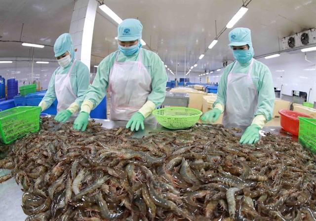 Việt Nams shrimp exports expect growth this year