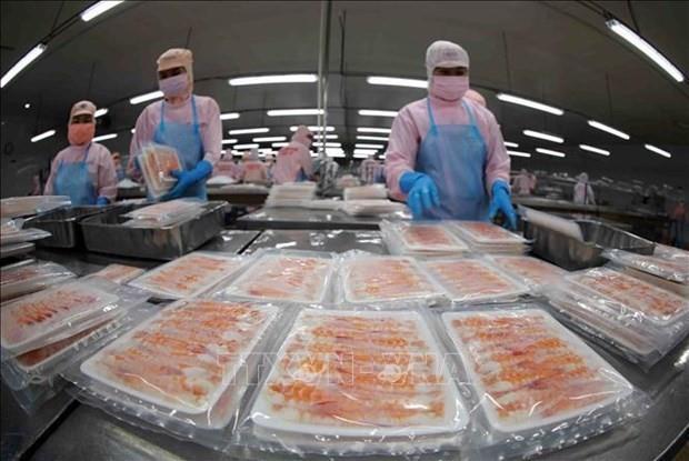 Shrimp exports to major markets bounce back