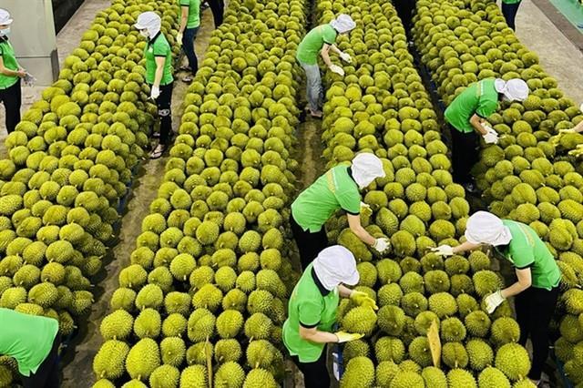 Fruit and vegetable export turnover hit 1.8 billion in 4 months