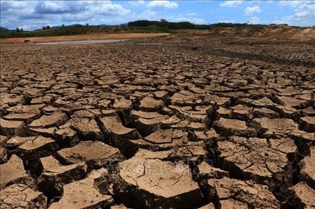 ADB operations reach 23.6 billion in 2023, achieve record climate finance