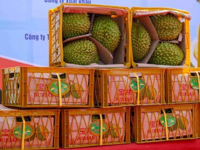 Việt Nams trade value with China expected to reach 200b this year