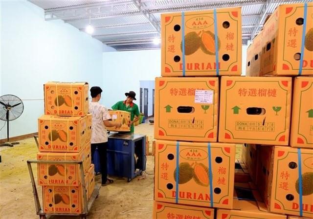 Durian exports expected to top 3 billion this year