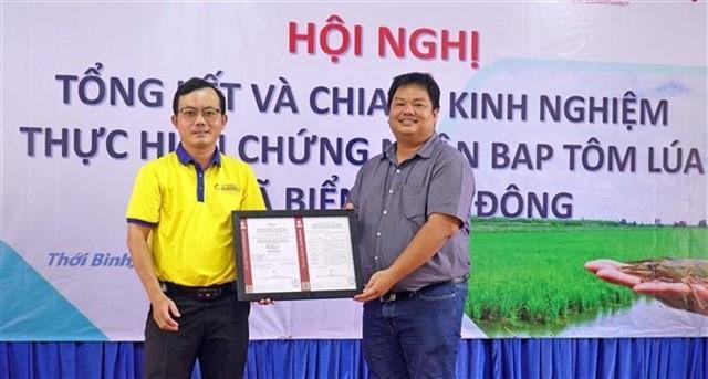 Cà Mau rice-shrimp cultivation model receives first BAP certification