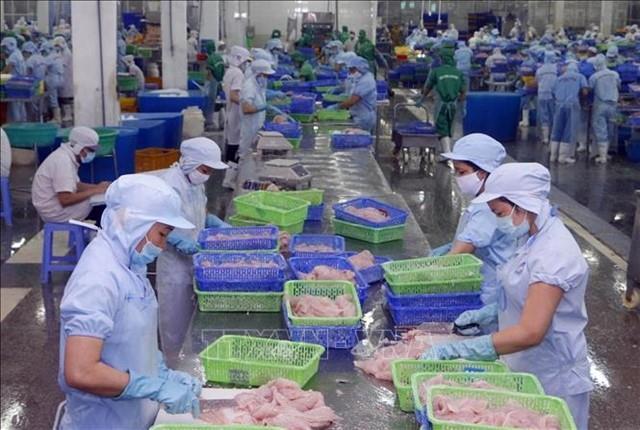 Việt Nam emerges as EUs top ASEAN exporter under EVFTA