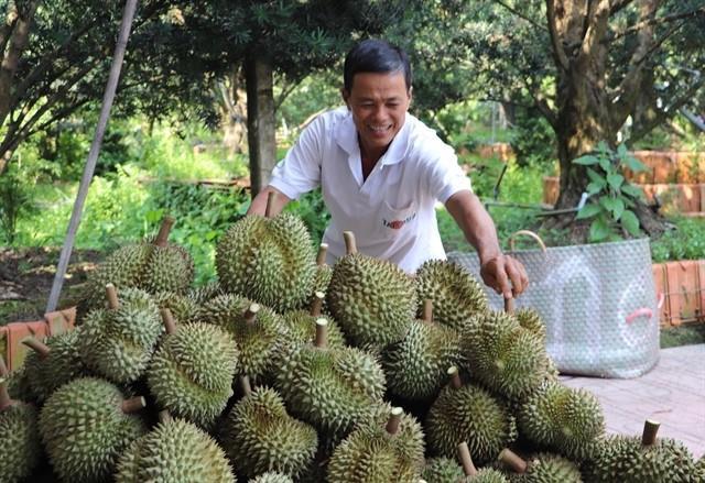Thailand expected to record growth in Vietnamese fruit and vegetable imports