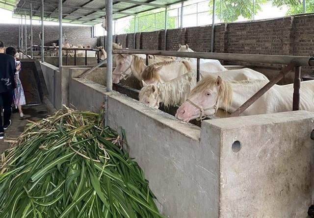 Bắc Giang taps into agro-forestry-fishery products potential