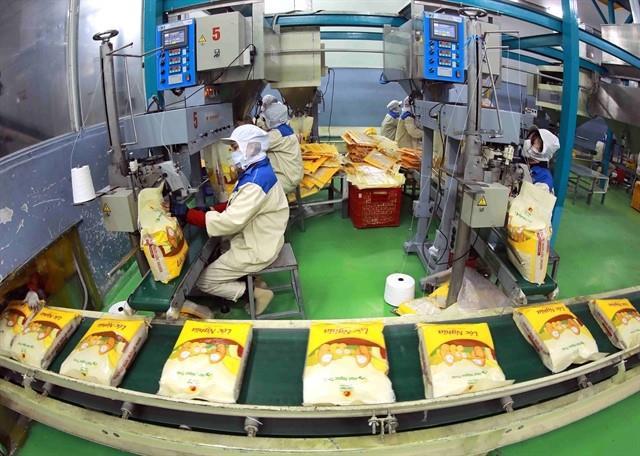 Việt Nam remains Indonesias main rice supplier