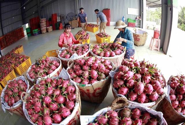 India is potential market for Việt Nams export farm produce