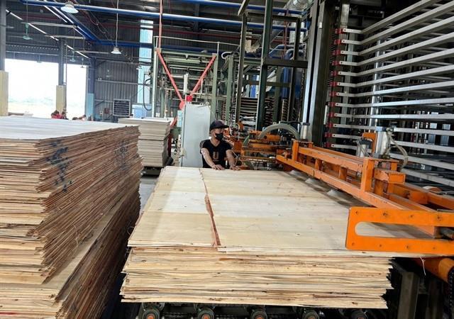 Việt Nams wood exports rise, but challenges from market and natural disasters persist