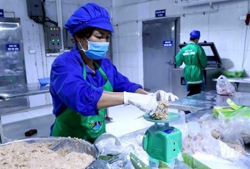 Hà Nội strengthens food safety control through value chains